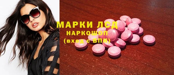 ПСИЛОЦИБИНОВЫЕ ГРИБЫ Вязники