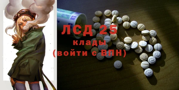 ПСИЛОЦИБИНОВЫЕ ГРИБЫ Вязники