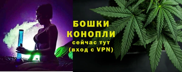 ПСИЛОЦИБИНОВЫЕ ГРИБЫ Вязники