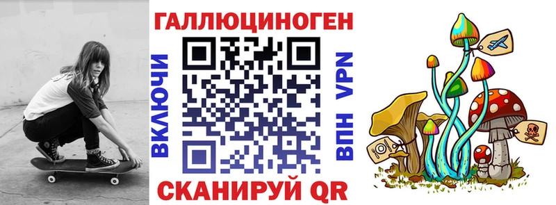 купить   Майкоп  Галлюциногенные грибы Cubensis 