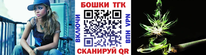 Конопля сатива  Майкоп 
